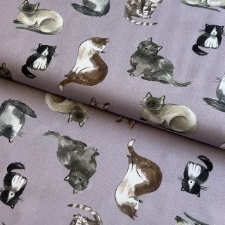 Țesătură din bumbac Cats lavender digital print