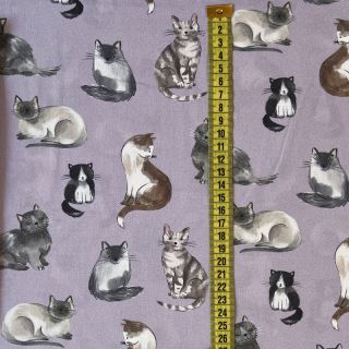 Țesătură din bumbac Cats lavender digital print