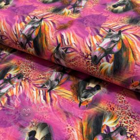 Tricot Fancy Horses digital print