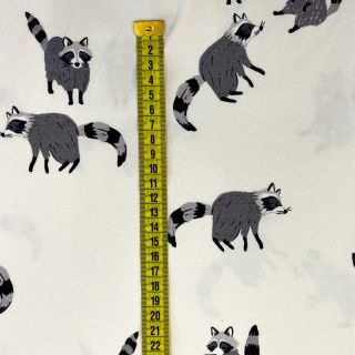 Tricot Raccoon digital print